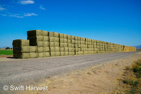 Martinez Farms Big Bale Alfalfa 40-5 Fair/Good AZ Alfalfa High Color Big Bales CP 16 RFV 130 TDN 55 FACS 89/110