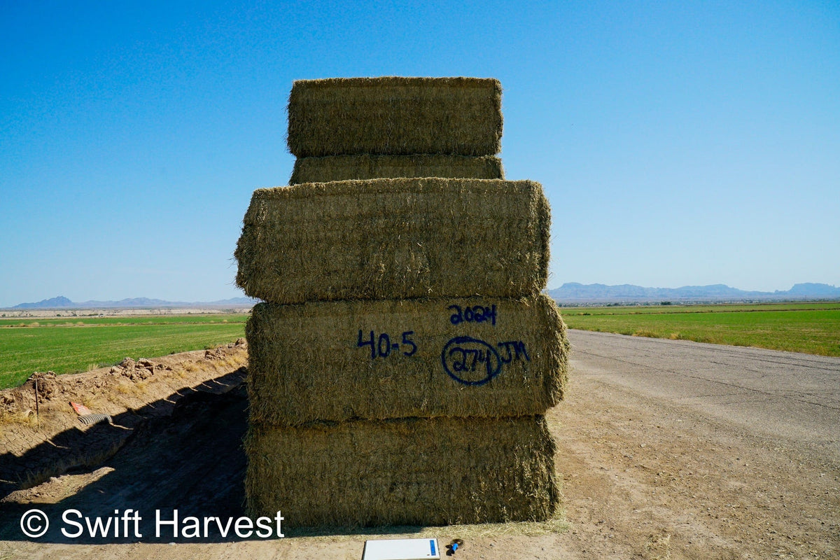 Martinez Farms Big Bale Alfalfa 40-5 Fair/Good AZ Alfalfa High Color Big Bales CP 16 RFV 130 TDN 55 FACS 89/110