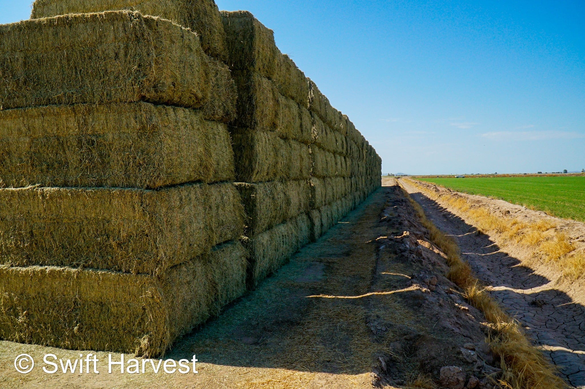 Martinez Farms Big Bale Alfalfa 40-5 Fair/Good AZ Alfalfa High Color Big Bales CP 16 RFV 130 TDN 55 FACS 89/110