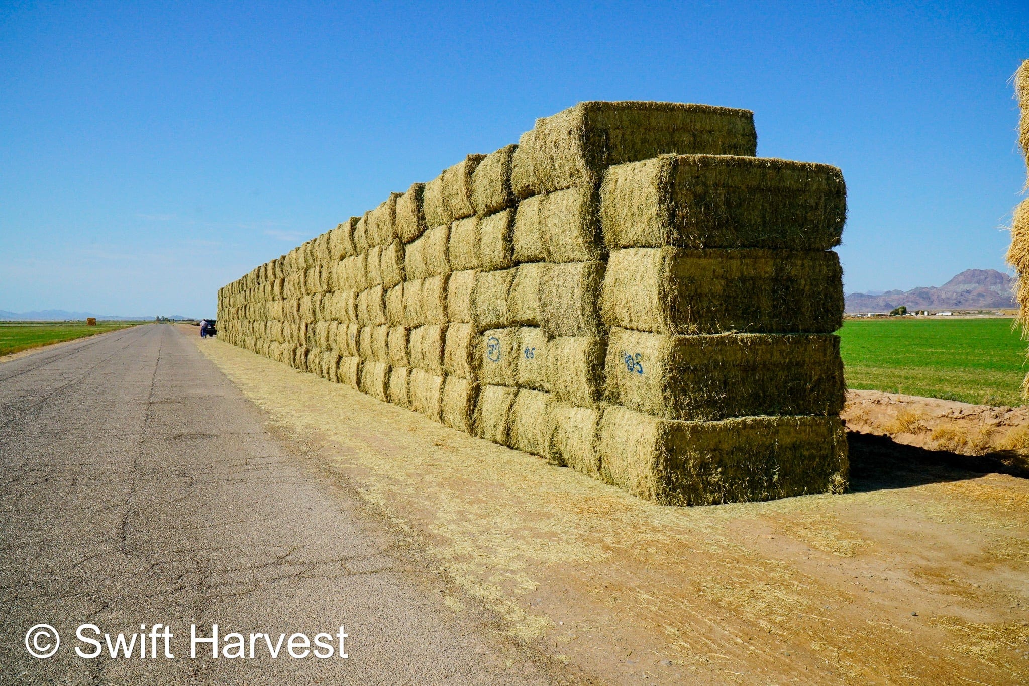 Martinez Farms Big Bale Alfalfa 40-5 Fair/Good AZ Alfalfa High Color Big Bales CP 16 RFV 130 TDN 55 FACS 89/110