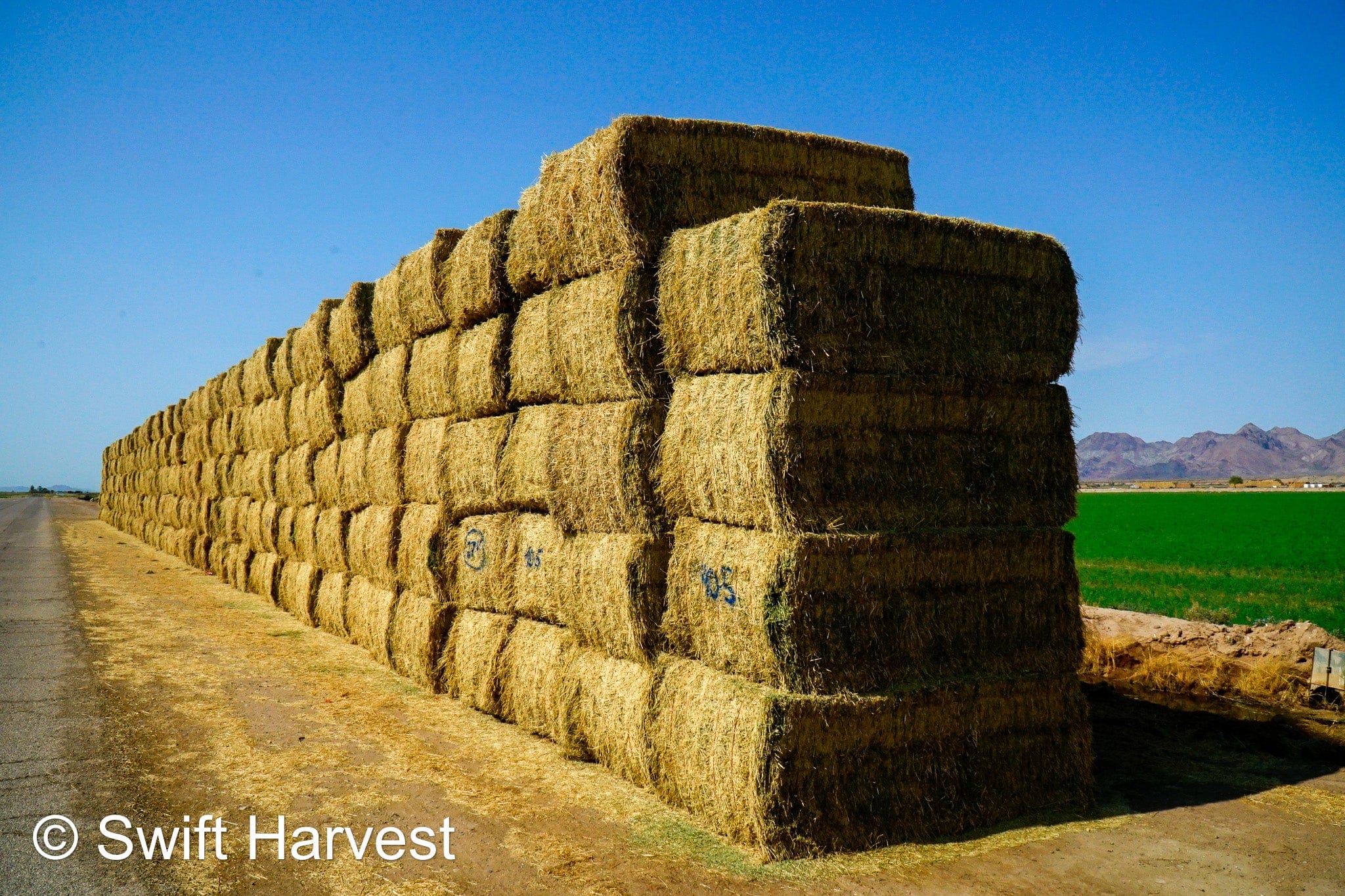 Martinez Farms Big Bale Alfalfa 40-5 Fair/Good AZ Alfalfa High Color Big Bales CP 16 RFV 130 TDN 55 FACS 89/110