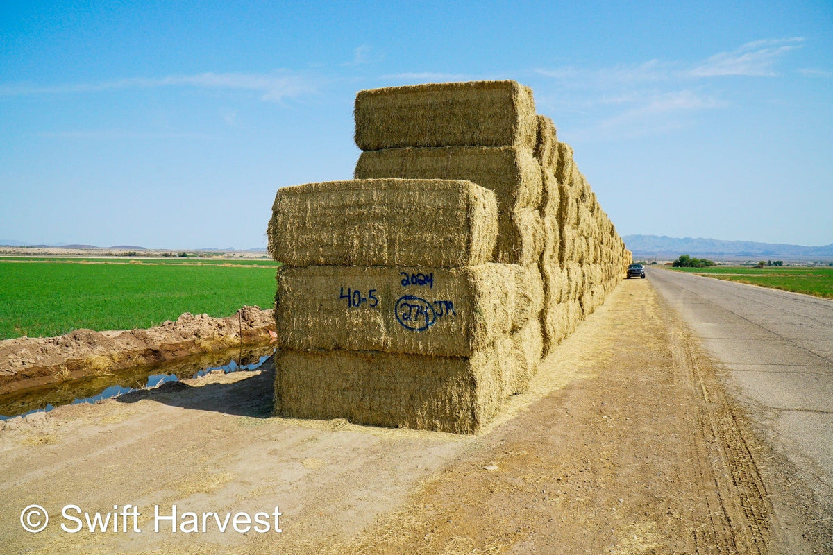 Martinez Farms Big Bale Alfalfa 40-5 Fair/Good AZ Alfalfa High Color Big Bales CP 16 RFV 130 TDN 55 FACS 89/110