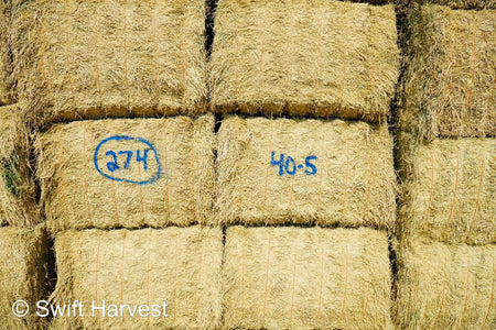 Martinez Farms Big Bale Alfalfa 40-5 Fair/Good AZ Alfalfa High Color Big Bales CP 16 RFV 130 TDN 55 FACS 89/110