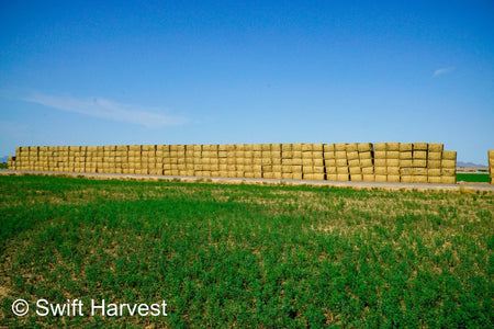 Martinez Farms Big Bale Alfalfa 40-5 Fair/Good AZ Alfalfa High Color Big Bales CP 16 RFV 130 TDN 55 FACS 89/110