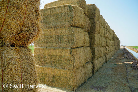 Martinez Farms Big Bale Alfalfa 40-5 Fair/Good AZ Alfalfa High Color Big Bales CP 16 RFV 130 TDN 55 FACS 89/110