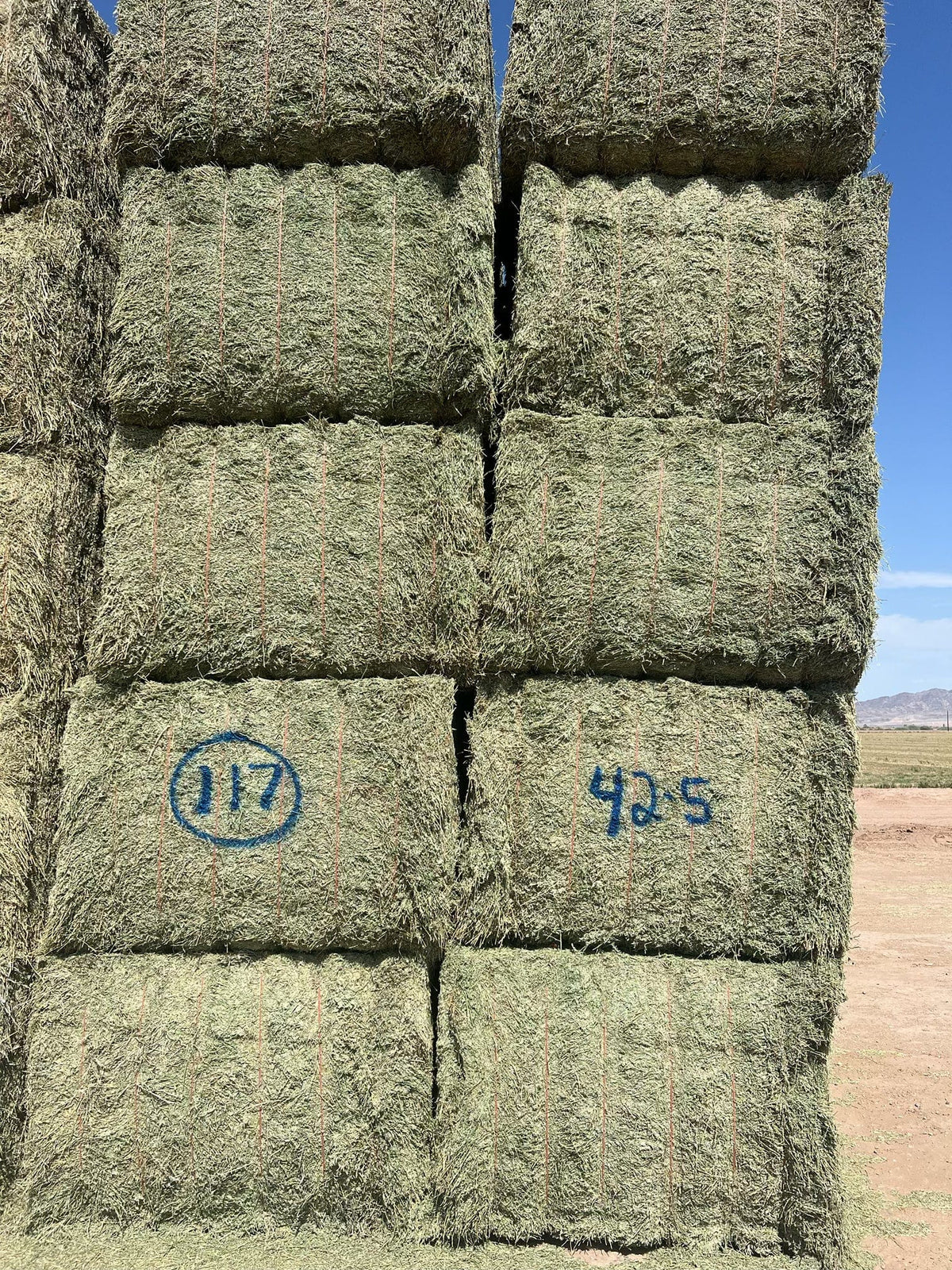 Martinez Farms Big Bale Alfalfa 42-5 Good/Premium AZ Alfalfa Clean Big Bales CP 18 RFV 172 TDN 58 FACS 96/110