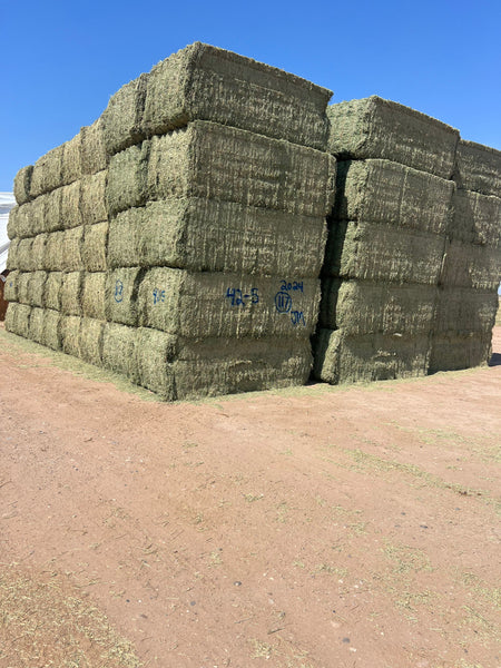 Martinez Farms Big Bale Alfalfa 42-5 Good/Premium AZ Alfalfa Clean Big Bales CP 18 RFV 172 TDN 58 FACS 96/110