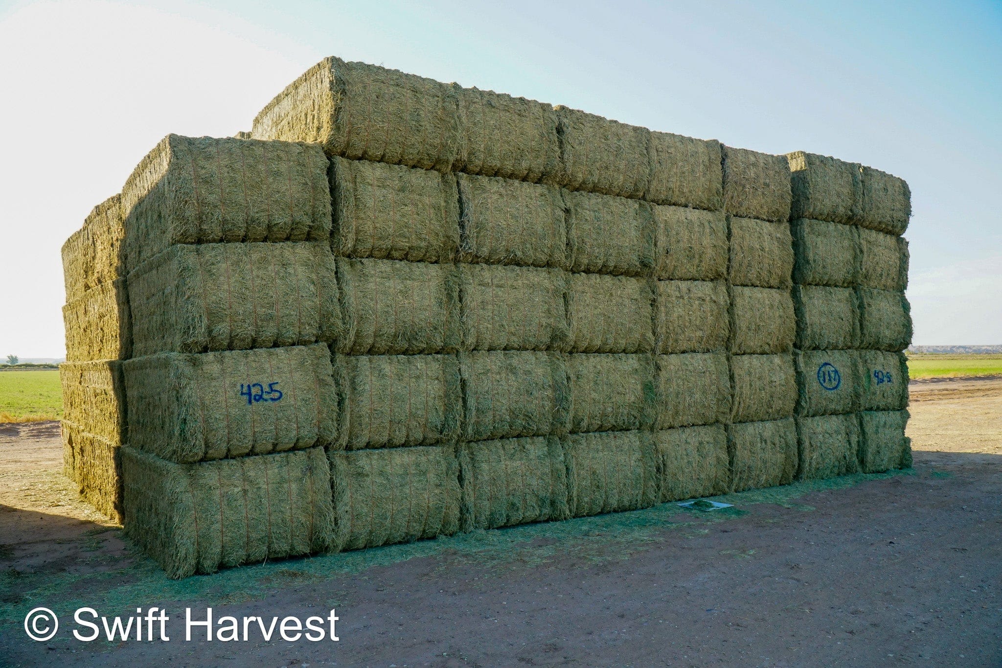 Martinez Farms Big Bale Alfalfa 42-5 Good/Premium AZ Alfalfa Clean Big Bales CP 18 RFV 172 TDN 58 FACS 96/110