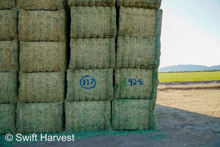 Martinez Farms Big Bale Alfalfa 42-5 Good/Premium AZ Alfalfa Clean Big Bales CP 18 RFV 172 TDN 58 FACS 96/110