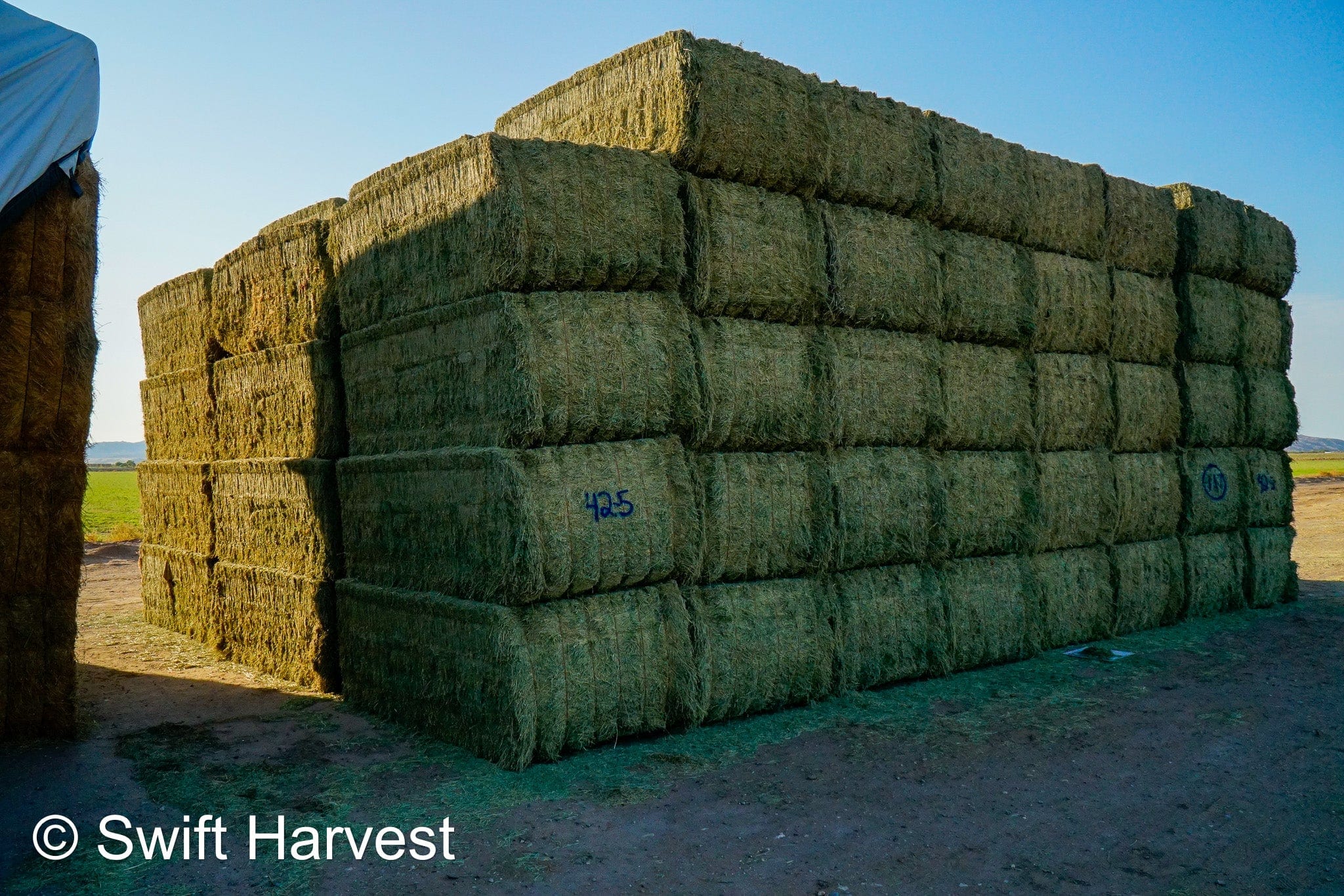 Martinez Farms Big Bale Alfalfa 42-5 Good/Premium AZ Alfalfa Clean Big Bales CP 18 RFV 172 TDN 58 FACS 96/110