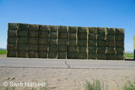 Martinez Farms Big Bale Alfalfa 46-2B Supreme Premium Alfalfa Test Hay Big Bales est 84 tons light insect damage