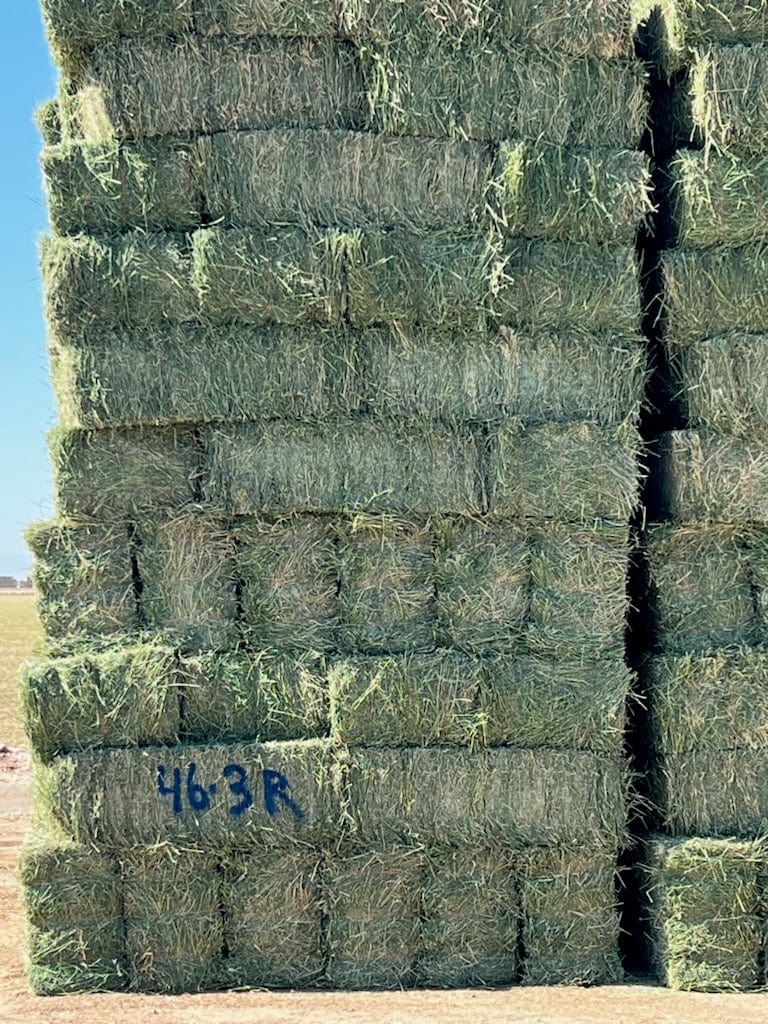 Martinez Farms Big Bale Alfalfa 46-3R  Supreme Alfalfa Test Hay Small Bales