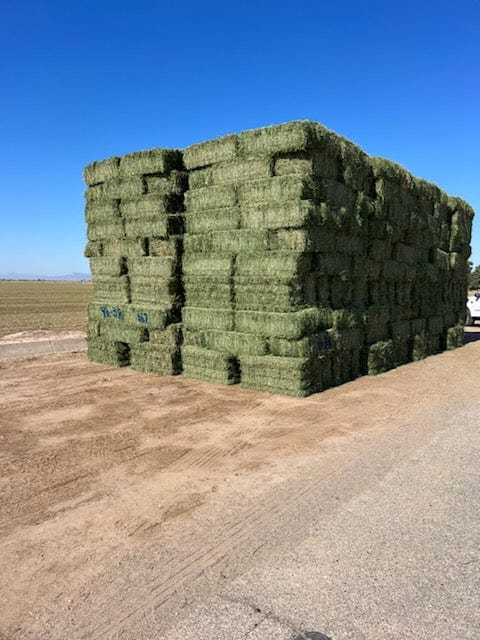 Martinez Farms Big Bale Alfalfa 46-3R  Supreme Alfalfa Test Hay Small Bales