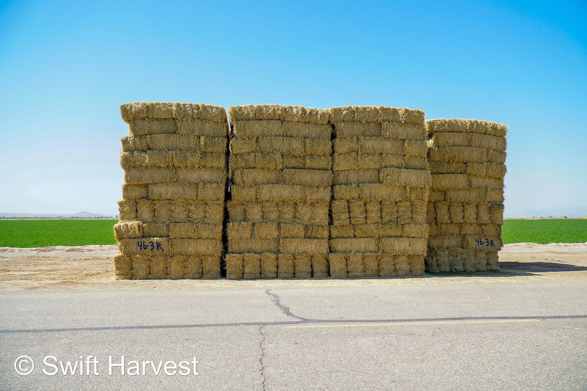 Martinez Farms Big Bale Alfalfa 46-3R  Supreme Alfalfa Test Hay Small Bales