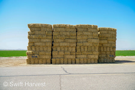 Martinez Farms Big Bale Alfalfa 46-3R  Supreme Alfalfa Test Hay Small Bales