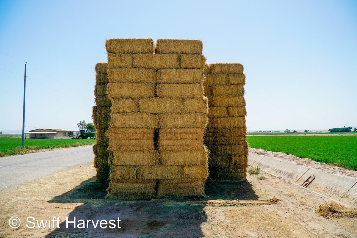 Martinez Farms Big Bale Alfalfa 46-3R  Supreme Alfalfa Test Hay Small Bales