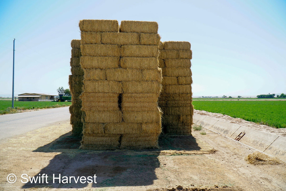 Martinez Farms Big Bale Alfalfa 46-3R  Supreme Alfalfa Test Hay Small Bales