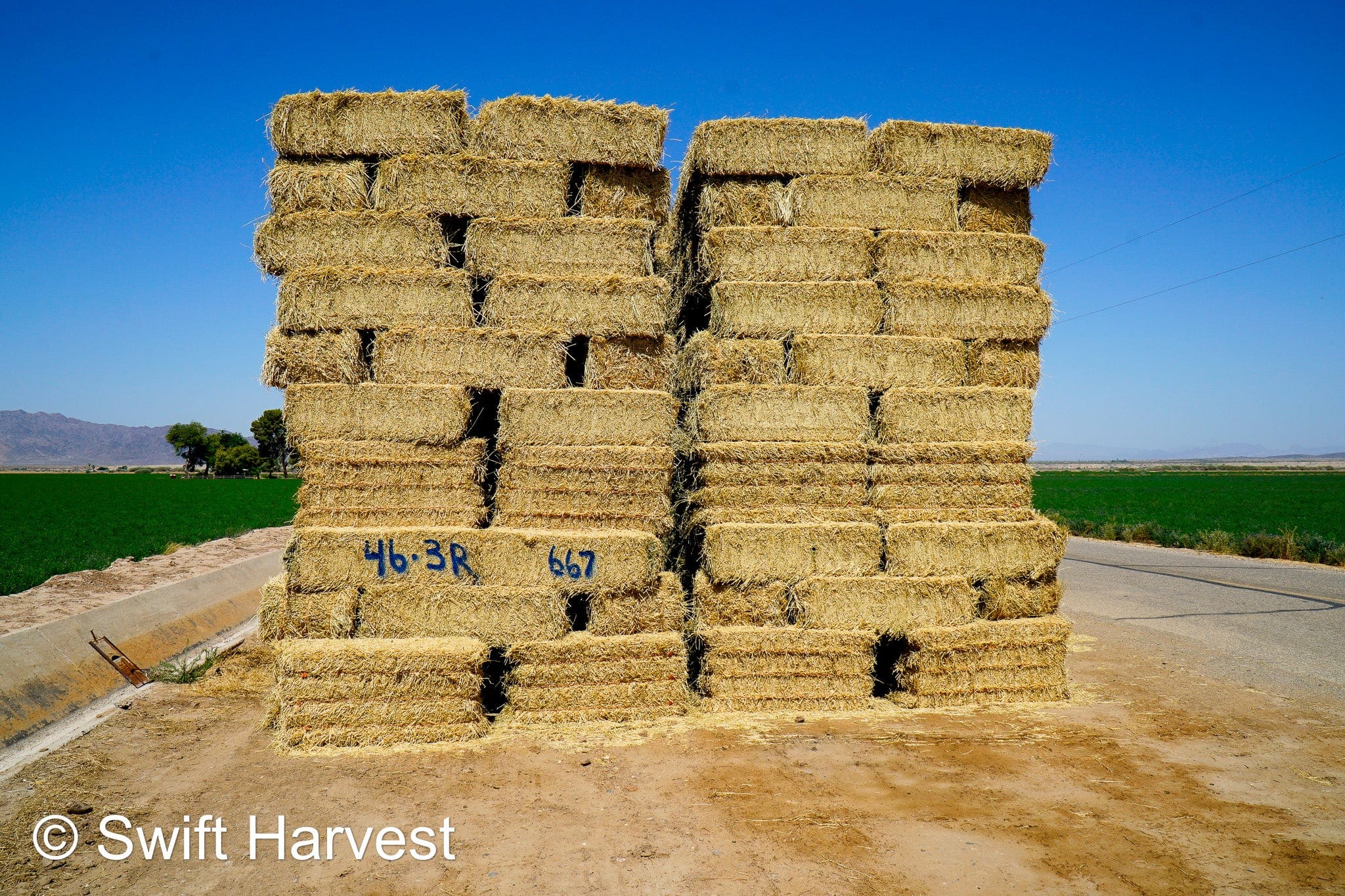 Martinez Farms Big Bale Alfalfa 46-3R  Supreme Alfalfa Test Hay Small Bales