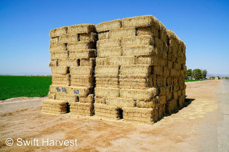 Martinez Farms Big Bale Alfalfa 46-3R  Supreme Alfalfa Test Hay Small Bales