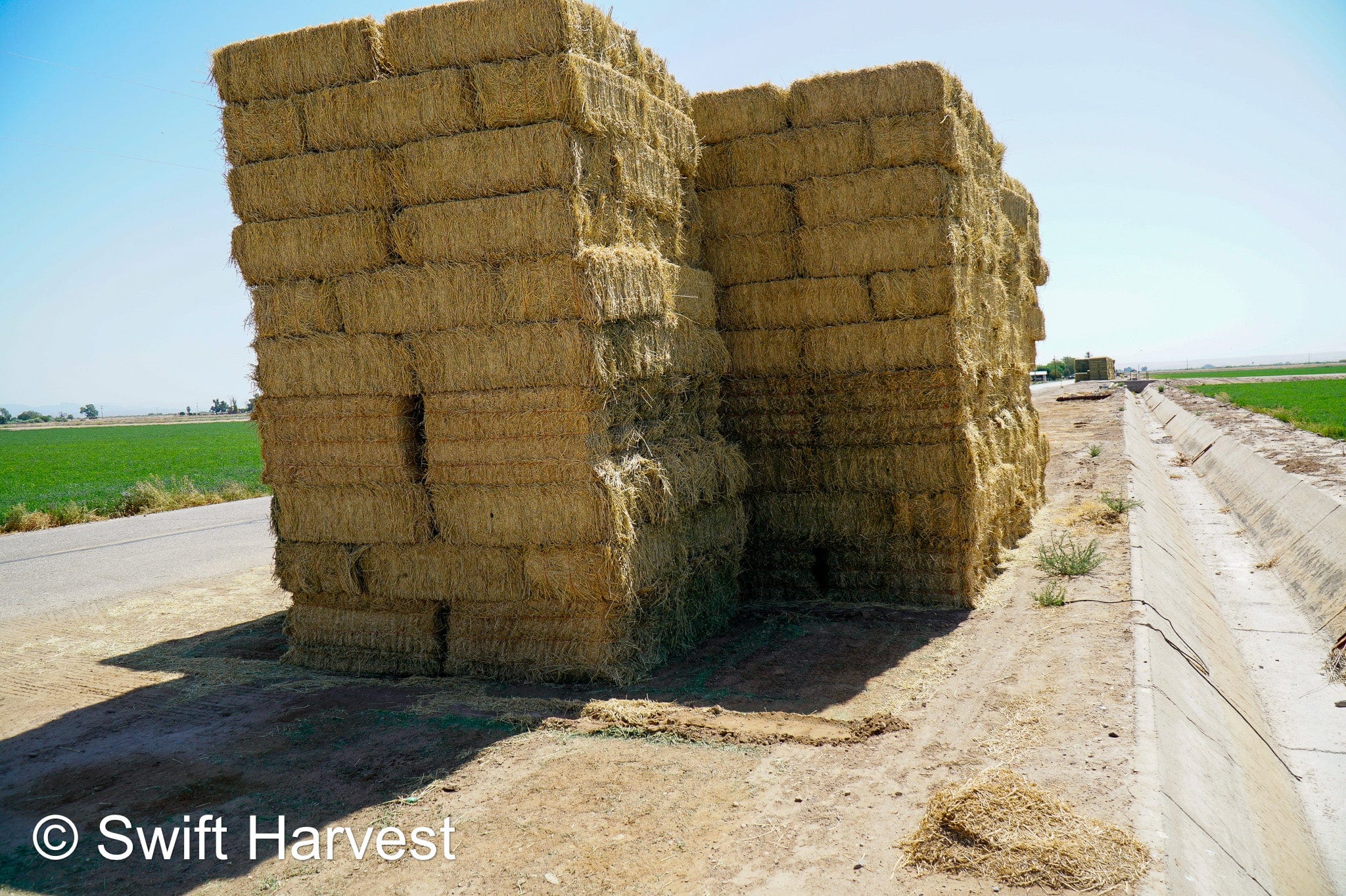 Martinez Farms Big Bale Alfalfa 46-3R  Supreme Alfalfa Test Hay Small Bales