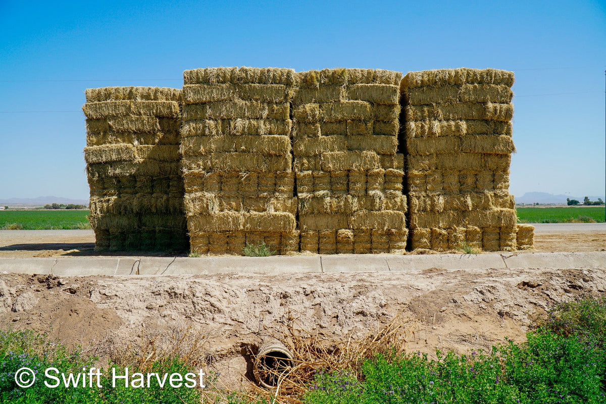 Martinez Farms Big Bale Alfalfa 46-3R  Supreme Alfalfa Test Hay Small Bales