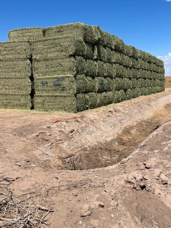 Martinez Farms Big Bale Alfalfa 46-4   Alfalfa Test Hay Big Bales