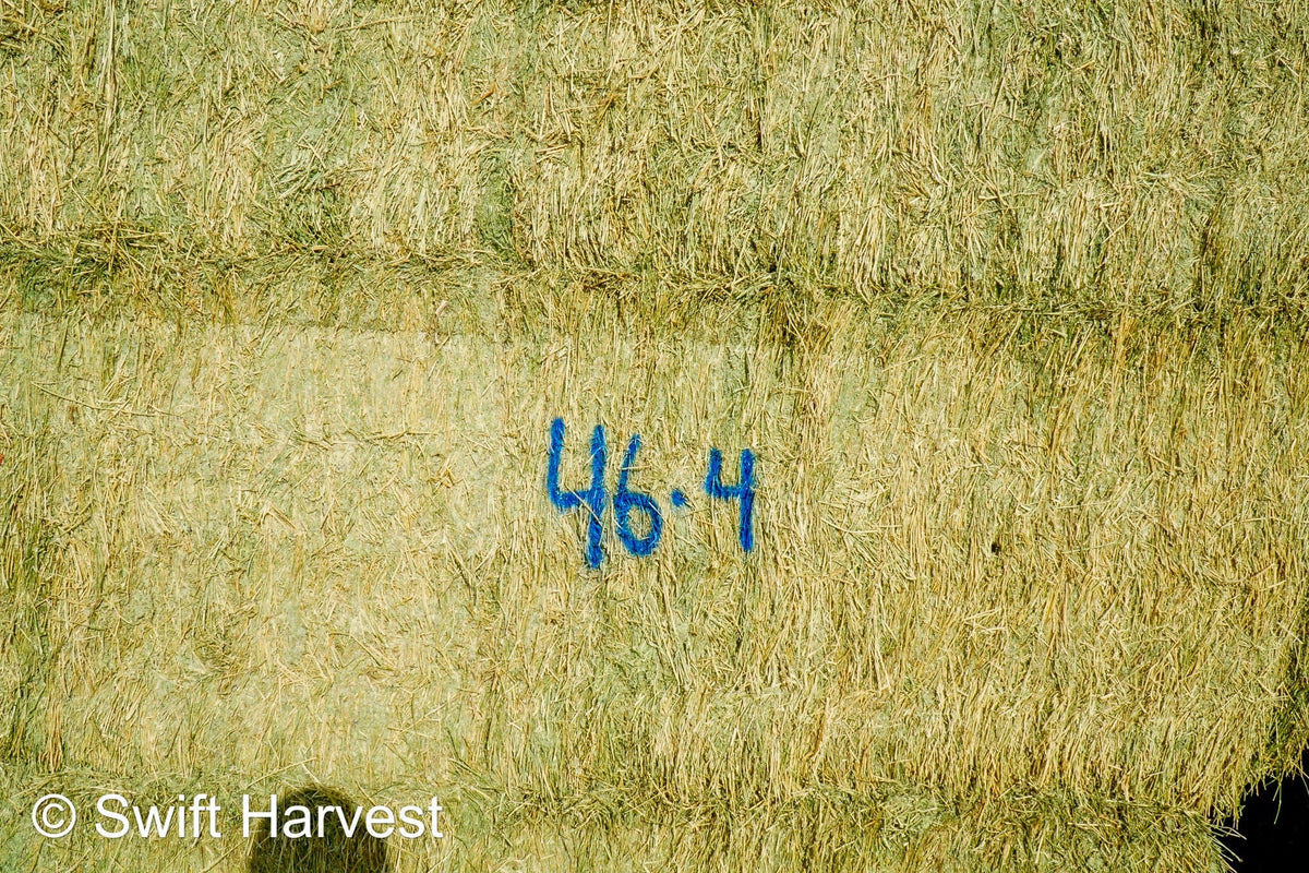 Martinez Farms Big Bale Alfalfa 46-4 Good AZ  Alfalfa Test Hay Big Bales CP 19 RFV 157 TDN 57 FACS 95/110