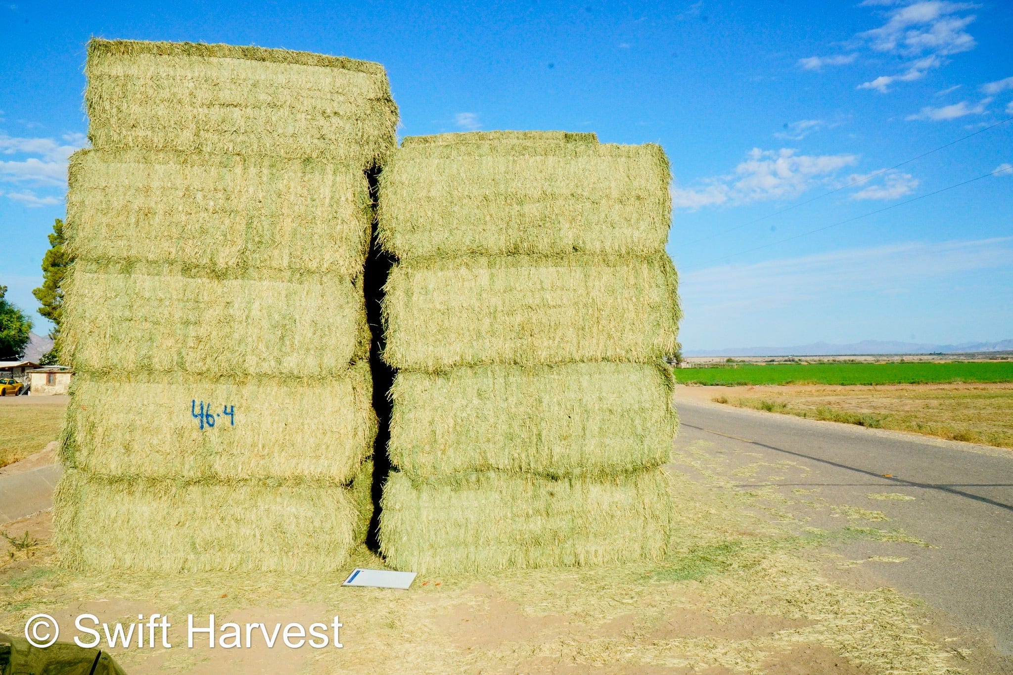 Martinez Farms Big Bale Alfalfa 46-4 Good AZ  Alfalfa Test Hay Big Bales CP 19 RFV 157 TDN 57 FACS 95/110