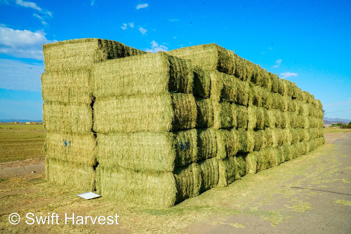 Martinez Farms Big Bale Alfalfa 46-4 Good AZ  Alfalfa Test Hay Big Bales CP 19 RFV 157 TDN 57 FACS 95/110