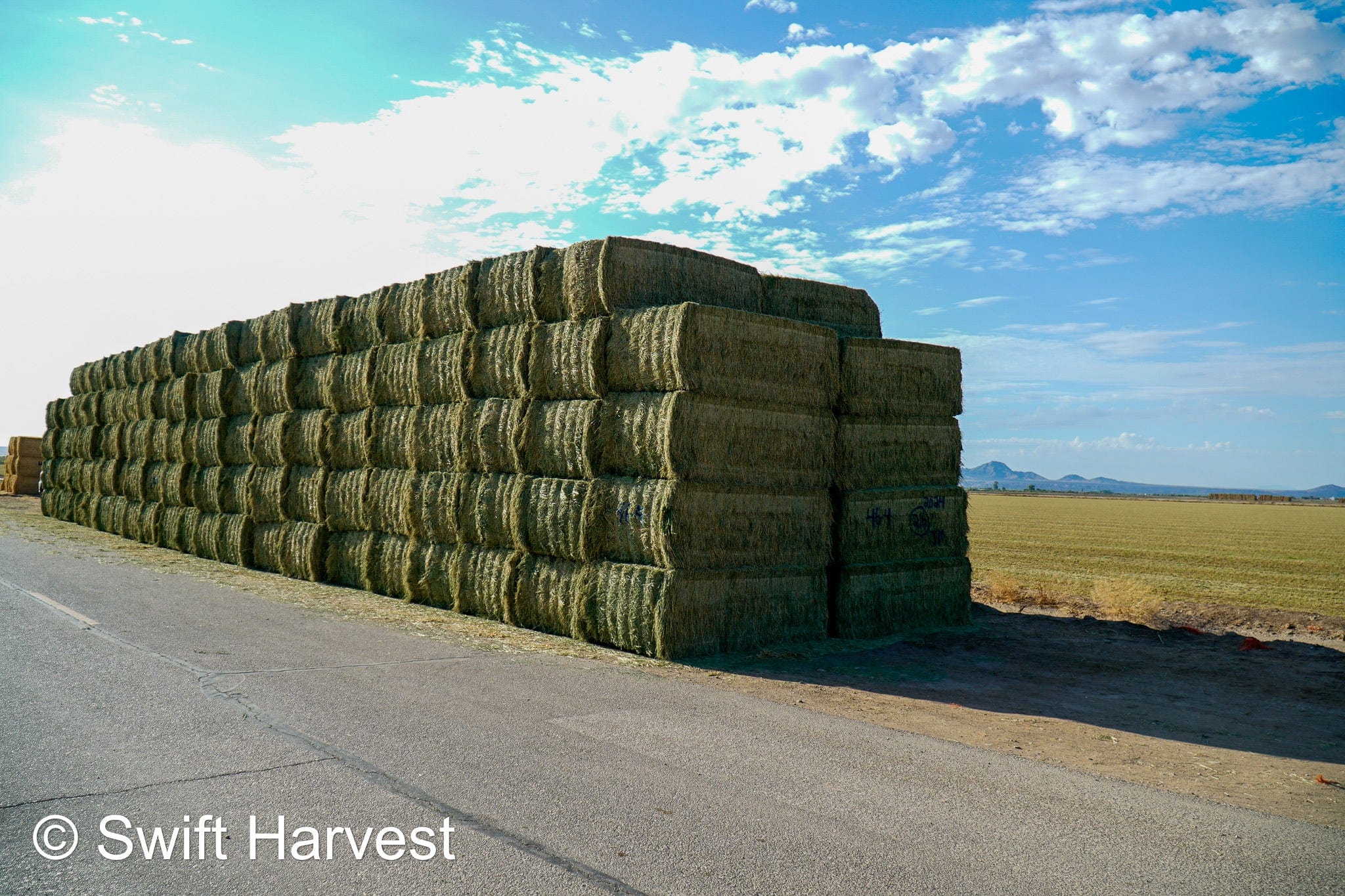 Martinez Farms Big Bale Alfalfa 46-4 Good AZ  Alfalfa Test Hay Big Bales CP 19 RFV 157 TDN 57 FACS 95/110