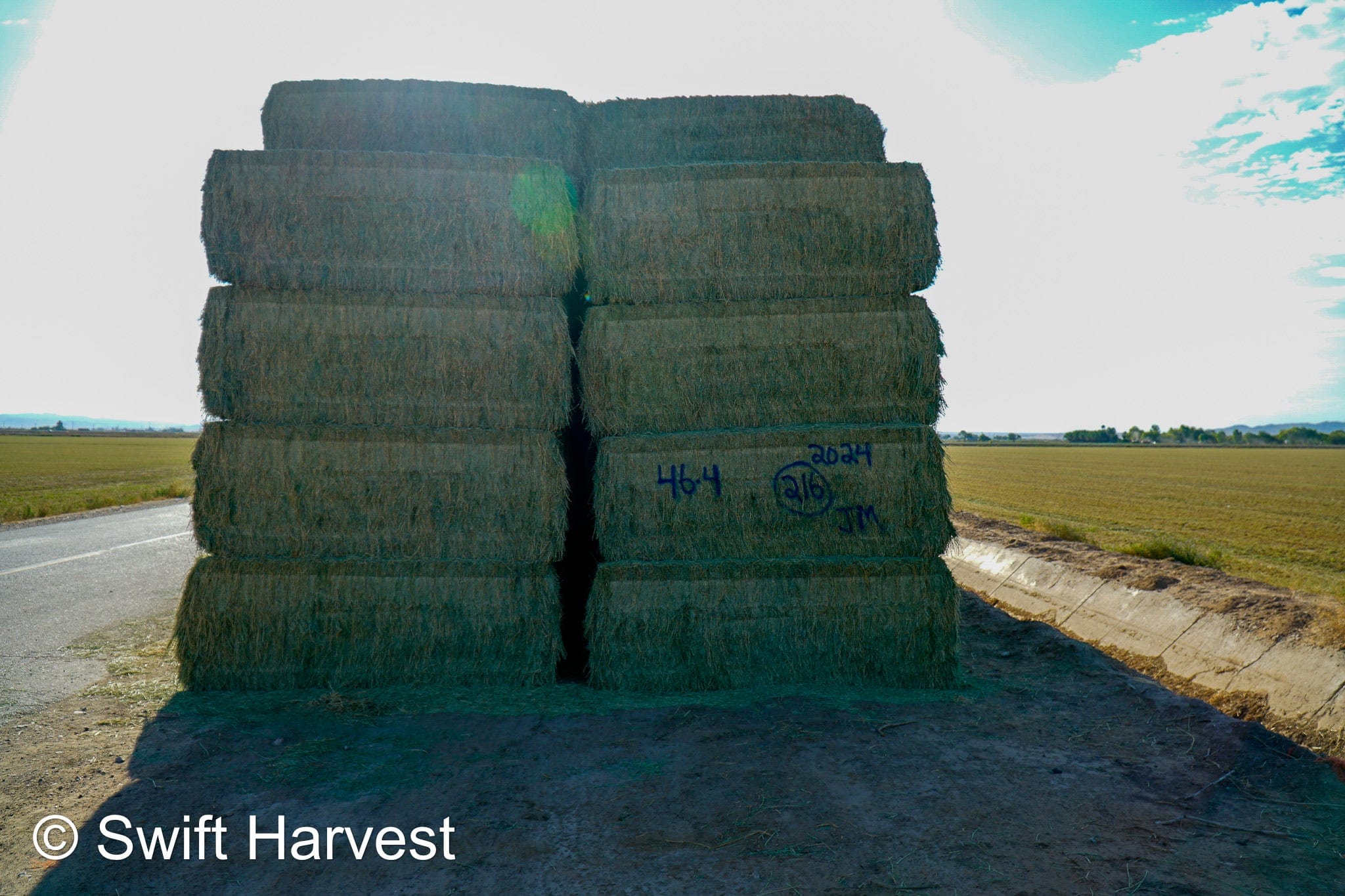 Martinez Farms Big Bale Alfalfa 46-4 Good AZ  Alfalfa Test Hay Big Bales CP 19 RFV 157 TDN 57 FACS 95/110