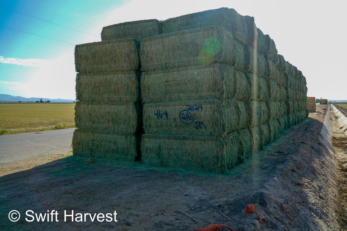 Martinez Farms Big Bale Alfalfa 46-4 Good AZ  Alfalfa Test Hay Big Bales CP 19 RFV 157 TDN 57 FACS 95/110