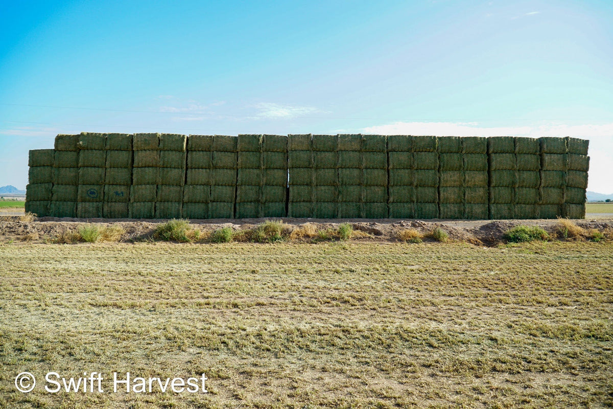 Martinez Farms Big Bale Alfalfa 46-4 Good AZ  Alfalfa Test Hay Big Bales CP 19 RFV 157 TDN 57 FACS 95/110