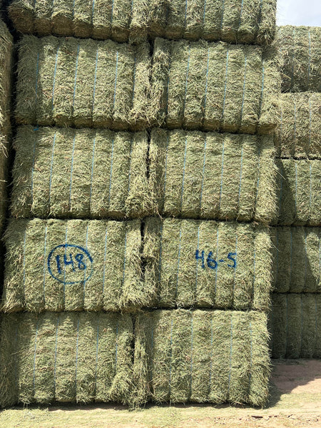 Martinez Farms Big Bale Alfalfa 46-5 Supreme/Premium AZ Alfalfa CP 22 RFV 178 TDN 59 FACS 94/110