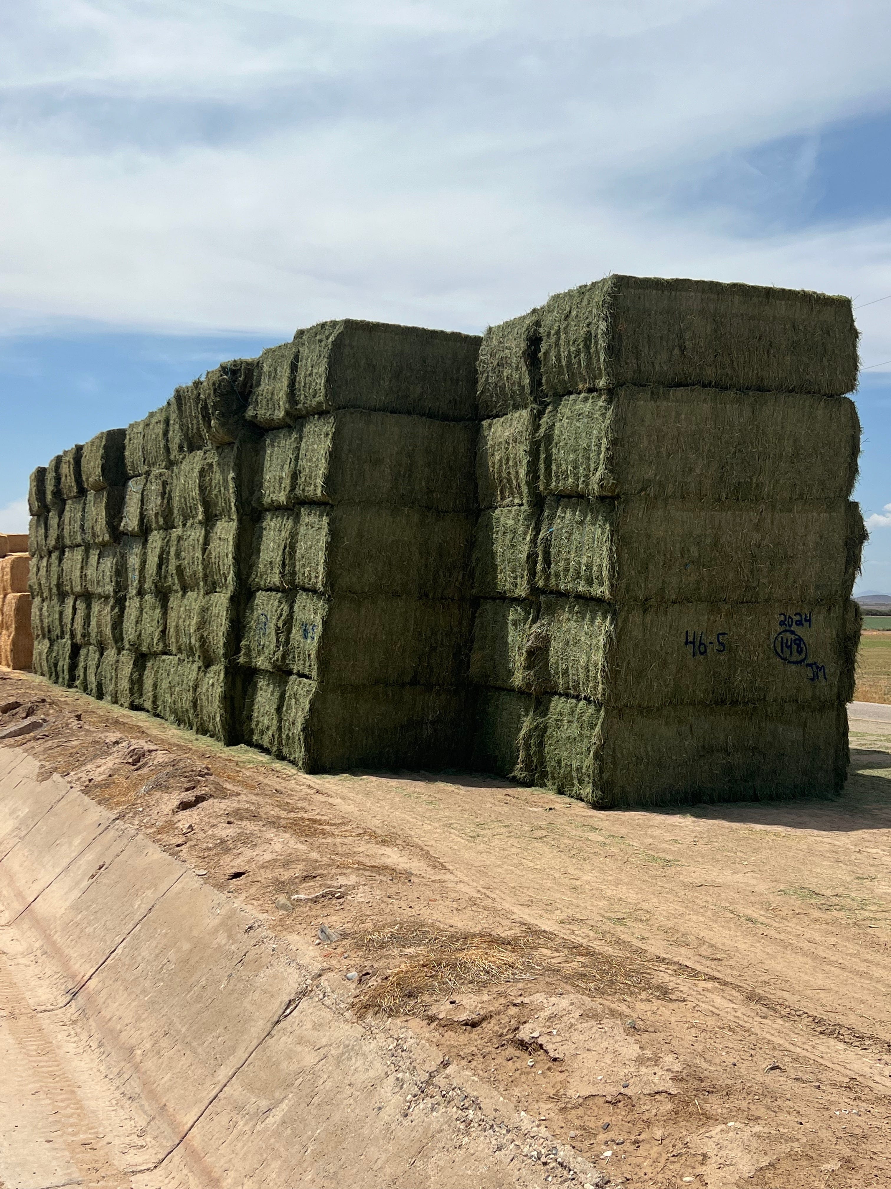 Martinez Farms Big Bale Alfalfa 46-5 Supreme/Premium AZ Alfalfa CP 22 RFV 178 TDN 59 FACS 94/110