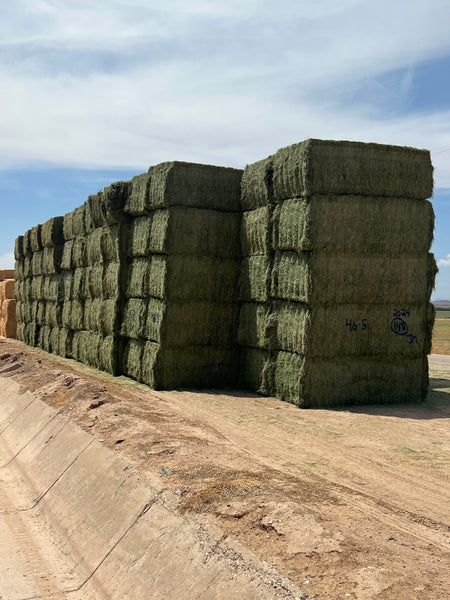 Martinez Farms Big Bale Alfalfa 46-5 Supreme/Premium AZ Alfalfa CP 22 RFV 178 TDN 59 FACS 94/110