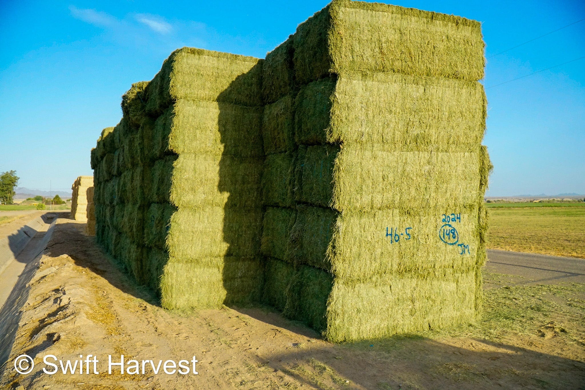 Martinez Farms Big Bale Alfalfa 46-5 Supreme/Premium AZ Alfalfa CP 22 RFV 178 TDN 59 FACS 94/110