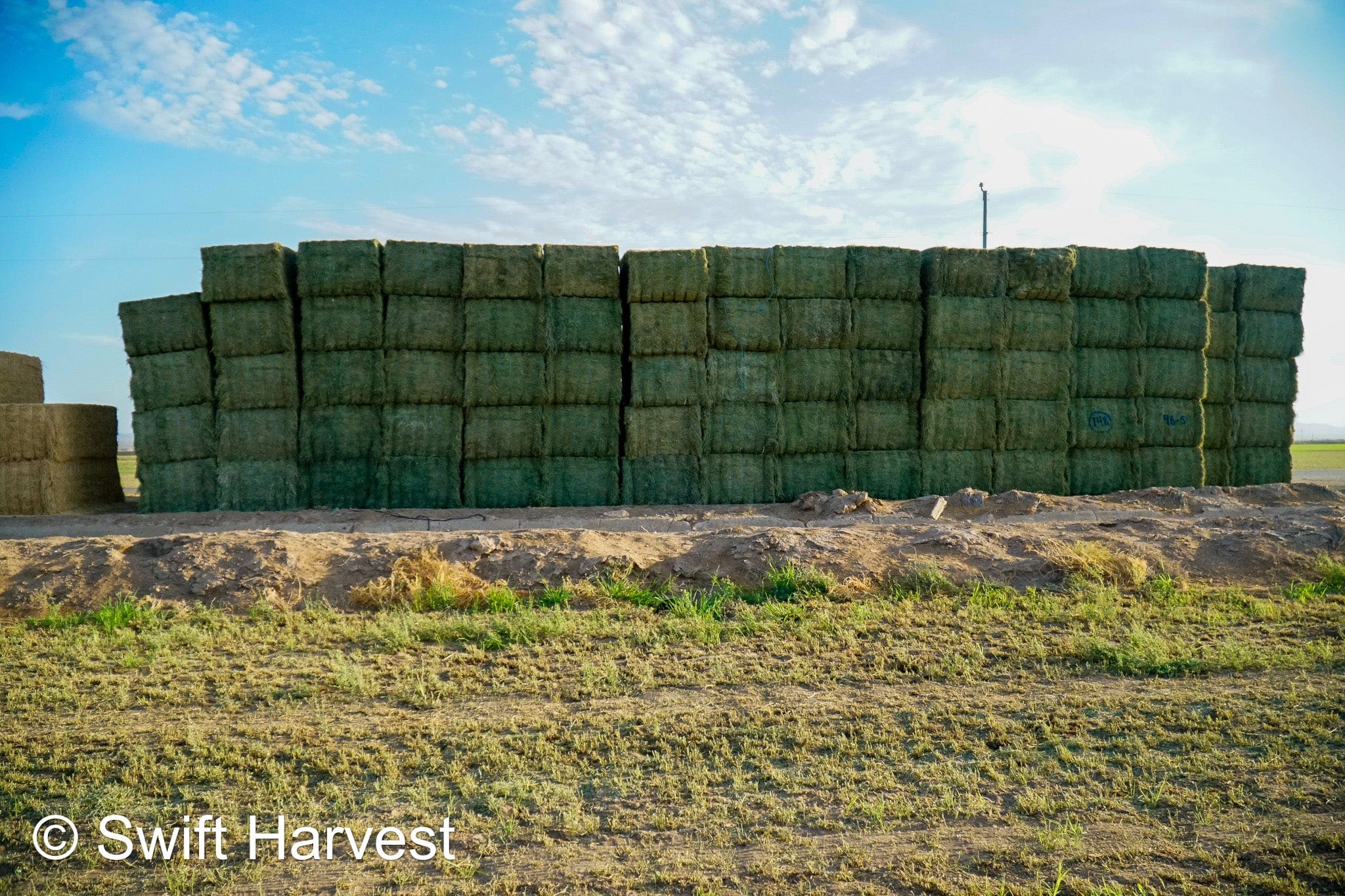 Martinez Farms Big Bale Alfalfa 46-5 Supreme/Premium AZ Alfalfa CP 22 RFV 178 TDN 59 FACS 94/110