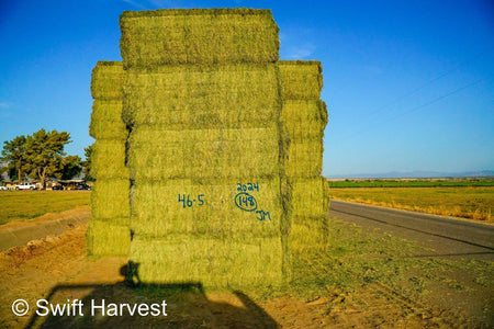 Martinez Farms Big Bale Alfalfa 46-5 Supreme/Premium AZ Alfalfa CP 22 RFV 178 TDN 59 FACS 94/110