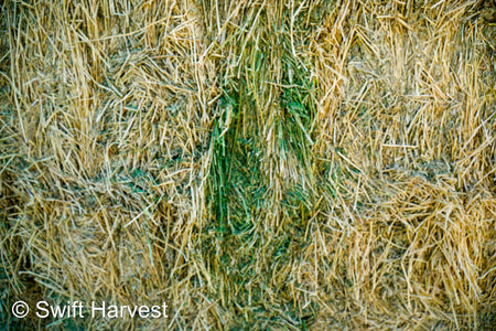 Martinez Farms Big Bale Alfalfa 47-4  Fair/Good AZ Alfalfa Test Hay Big Bales CP 19 RFV 144 TDN 56 FACS 90/110