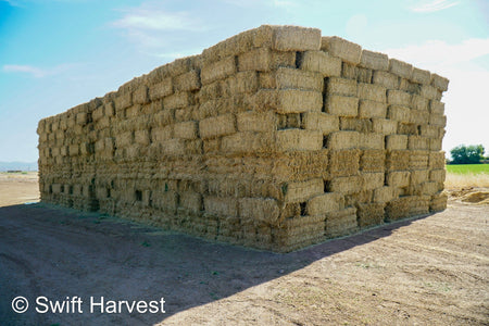 Martinez Farms Big Bale Alfalfa 47-4  Fair/Good AZ Alfalfa Test Hay Big Bales CP 19 RFV 144 TDN 56 FACS 90/110