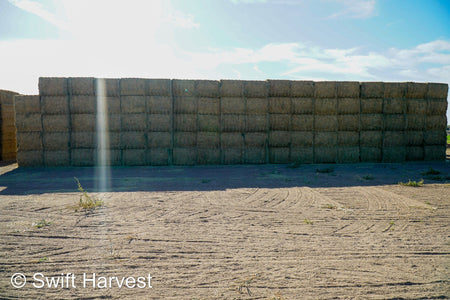 Martinez Farms Big Bale Alfalfa 47-4  Fair/Good AZ Alfalfa Test Hay Big Bales CP 19 RFV 144 TDN 56 FACS 90/110