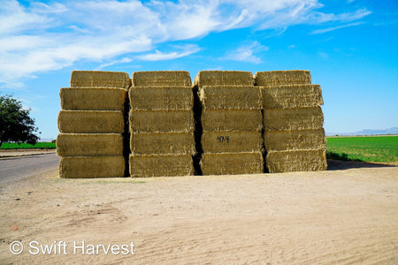 Martinez Farms Big Bale Alfalfa 47-4  Fair/Good AZ Alfalfa Test Hay Big Bales CP 19 RFV 144 TDN 56 FACS 90/110