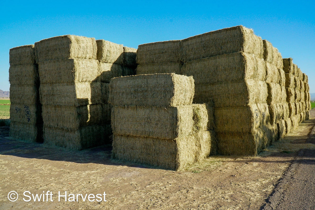 Martinez Farms Big Bale Alfalfa 47-4  Fair/Good AZ Alfalfa Test Hay Big Bales CP 19 RFV 144 TDN 56 FACS 90/110