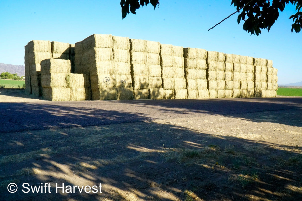 Martinez Farms Big Bale Alfalfa 47-4  Fair/Good AZ Alfalfa Test Hay Big Bales CP 19 RFV 144 TDN 56 FACS 90/110