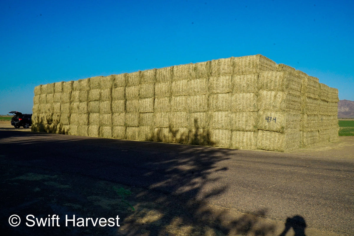 Martinez Farms Big Bale Alfalfa 47-4  Fair/Good AZ Alfalfa Test Hay Big Bales CP 19 RFV 144 TDN 56 FACS 90/110