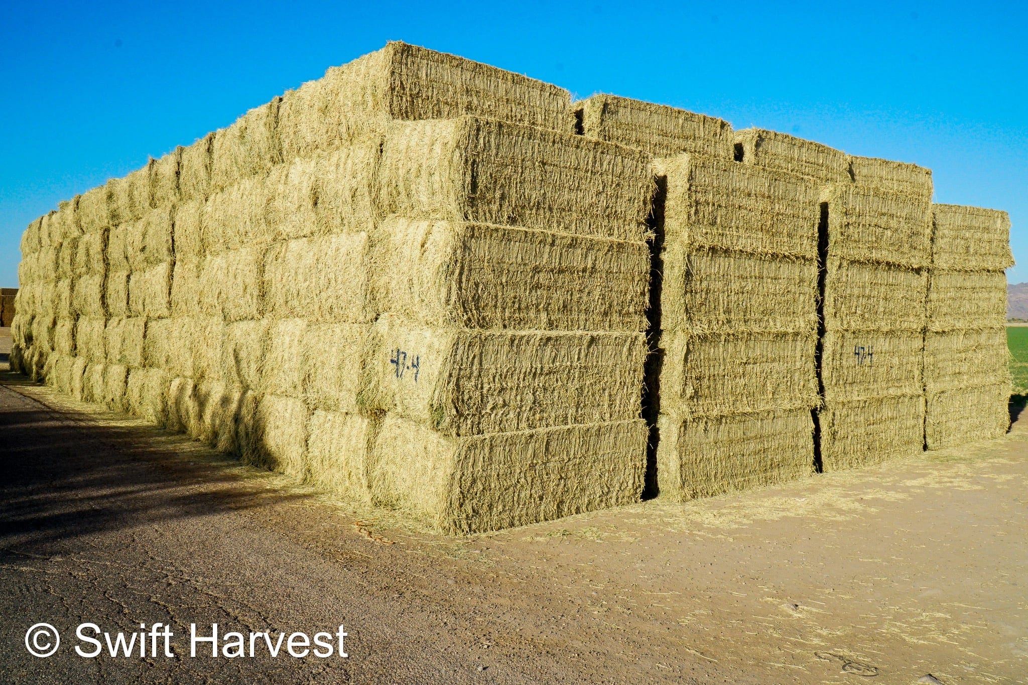 Martinez Farms Big Bale Alfalfa 47-4  Fair/Good AZ Alfalfa Test Hay Big Bales CP 19 RFV 144 TDN 56 FACS 90/110