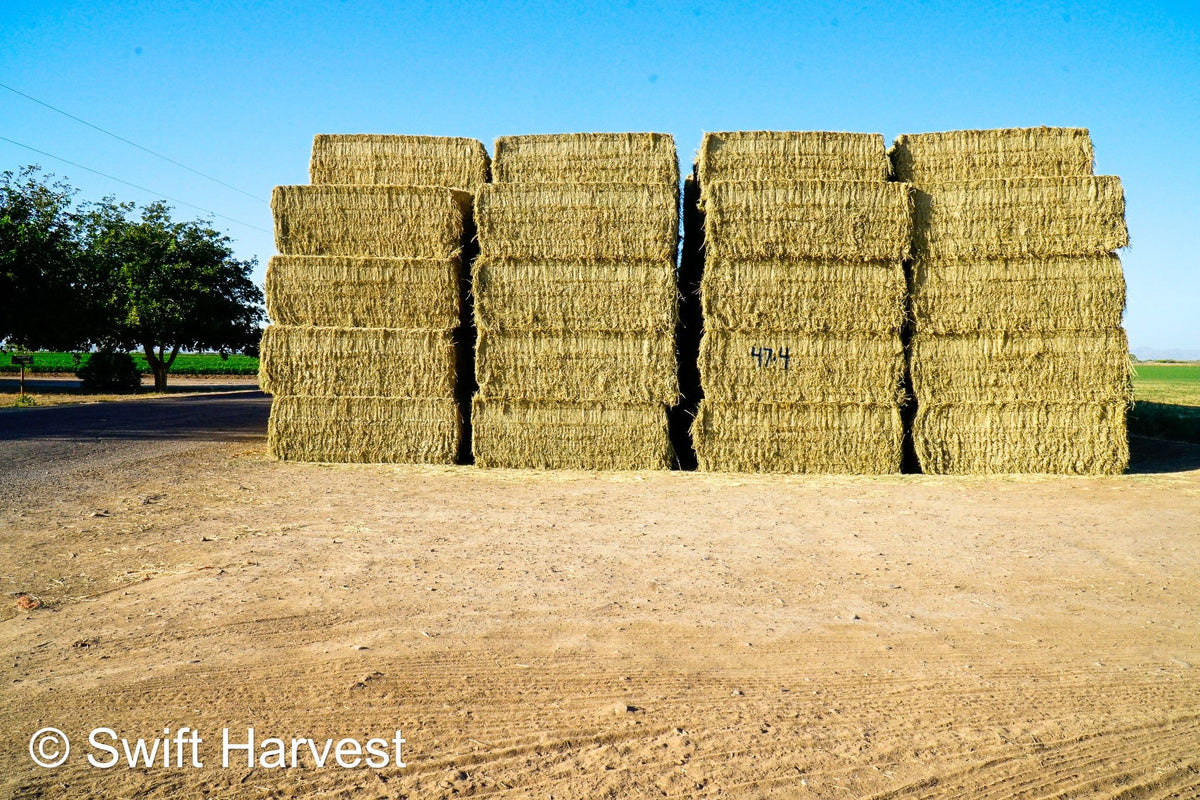 Martinez Farms Big Bale Alfalfa 47-4  Fair/Good AZ Alfalfa Test Hay Big Bales CP 19 RFV 144 TDN 56 FACS 90/110