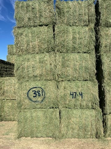 Martinez Farms Big Bale Alfalfa 47-4  Supreme Alfalfa Test Hay Big Bales