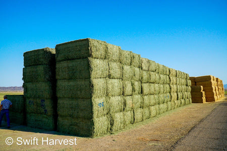 Martinez Farms Big Bale Alfalfa 47-5 Supreme/Premium AZ Alfalfa Big Bales CP 20 RFV 203 TDN 62 FACS 101/110